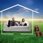 dog-home-defense-01