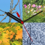 four-seasons-150