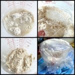 wild-yeast-starter