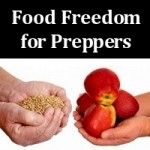 barter-food