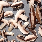 mushrooms3