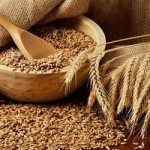 grains-02
