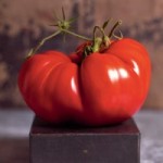 monster-tomato