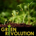 seedling-growing