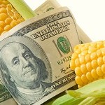 maize-money