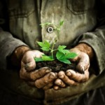 gardener-hands