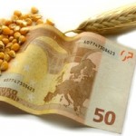 money-food