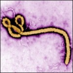 ebola-virus